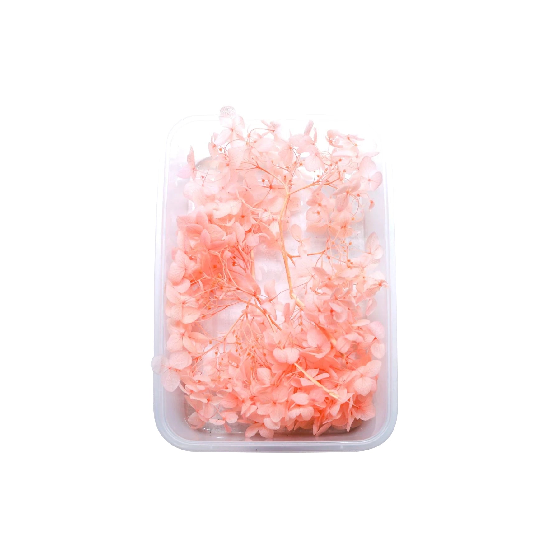 Peach Hydrangea Flowers (Naturally Preserved | Dried) (Epoxy Resin | C ...
