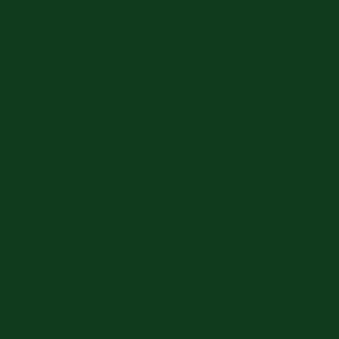 Chlorophyll Turmeric Oleoresin (Green Natural Liquid Cosmetic Colourant)