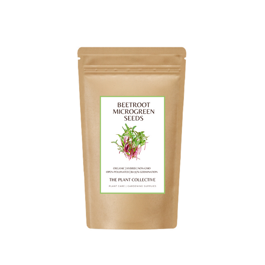 Beetroot Microgreen Seeds