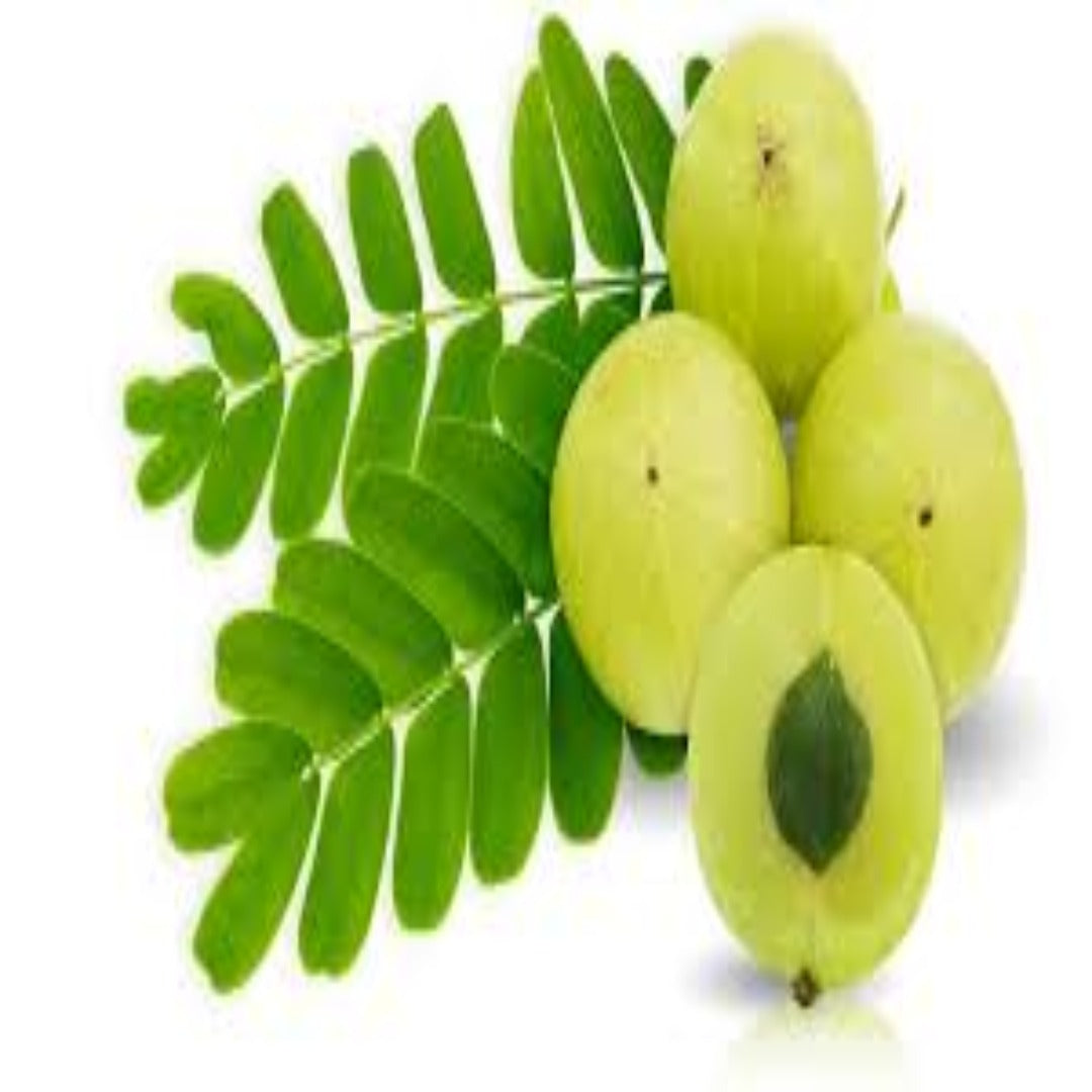 Buy Amla Powder Online in India - The Art Connect