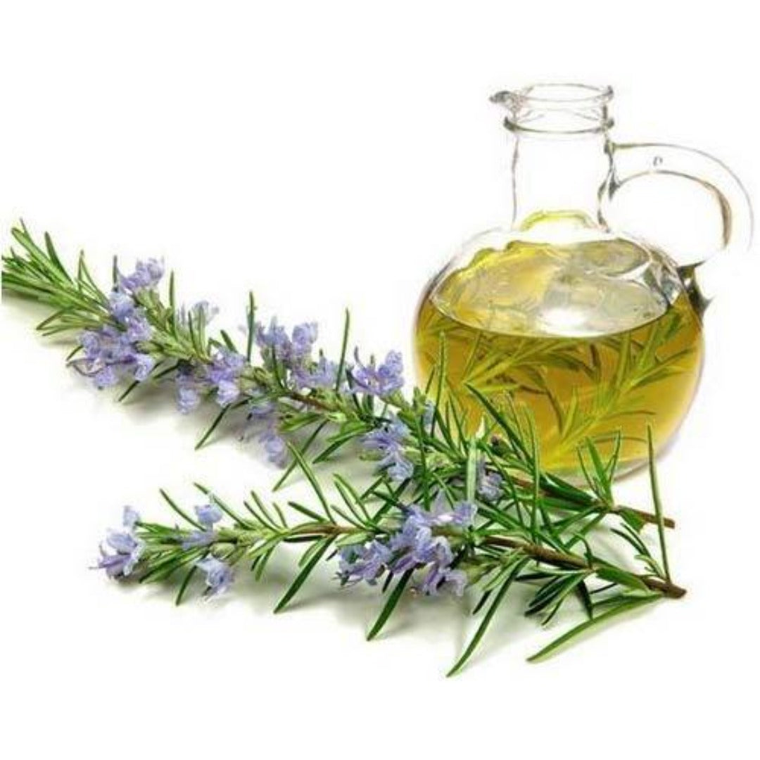 Buy Cajeput Essential Oil Online in India - The Art Connect