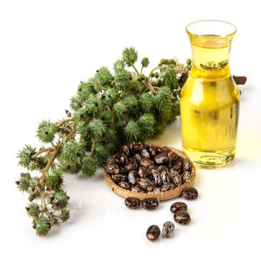 Buy Castor Carrier Oil Online in India - The Art Connect