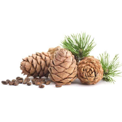 Buy Cedarwood (Indian) Essential Oil Online in India - The Art Connect