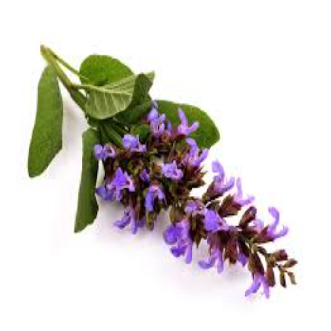 Buy Clary Sage Essential Oil Online in India - The Art Connect