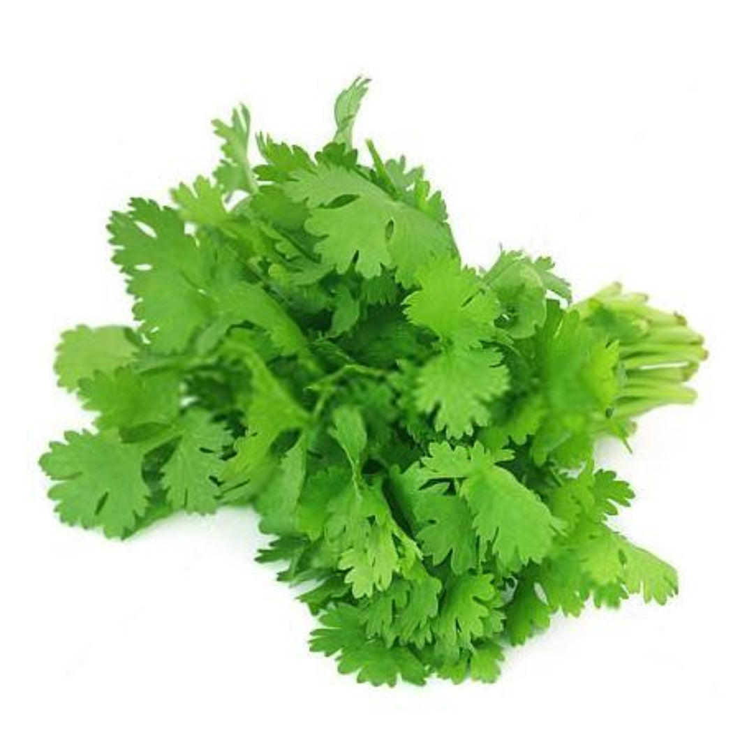 Buy Coriander Essential Oil Online in India - The Art Connect