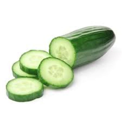 Buy Cucumber Extract Online in India - The Art Connect