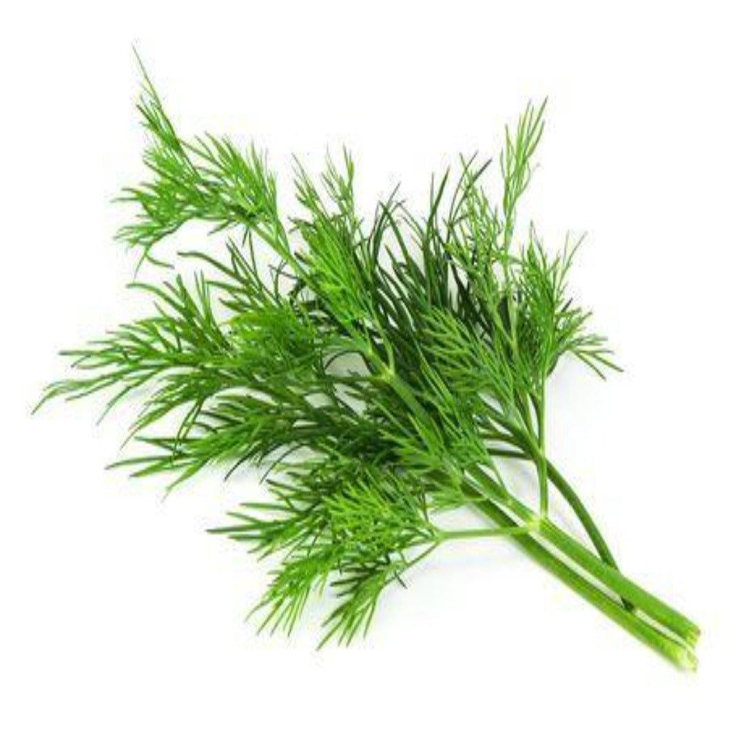 Buy Dill Essential Oil Online in India - The Art Connect