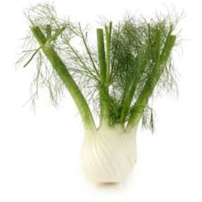 Buy Fennel Essential Oil Online in India - The Art Connect
