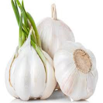 Buy Garlic Essential Oil Online in India - The Art Connect