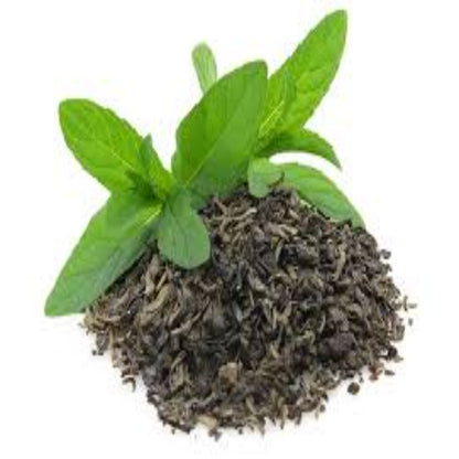 Buy Green Tea Extract Online in India - The Art Connect