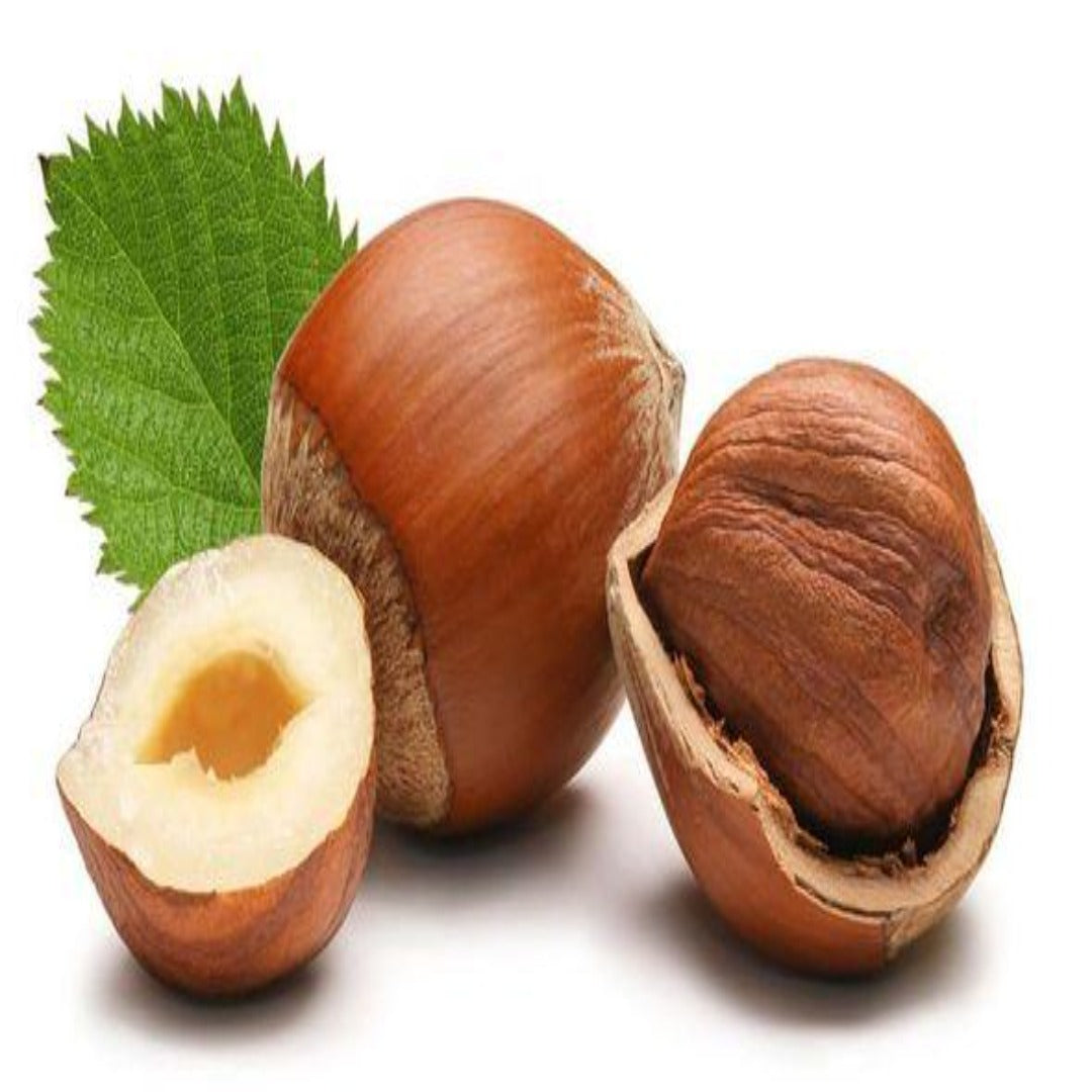 Buy Hazelnut Carrier Oil Online in India - The Art Connect