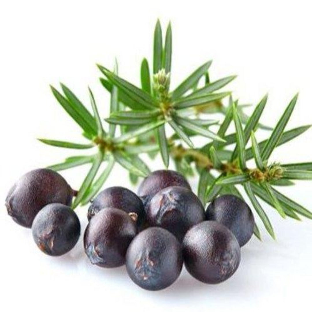 Buy Juniper Berry Hydrosol Online in India - The Art Connect