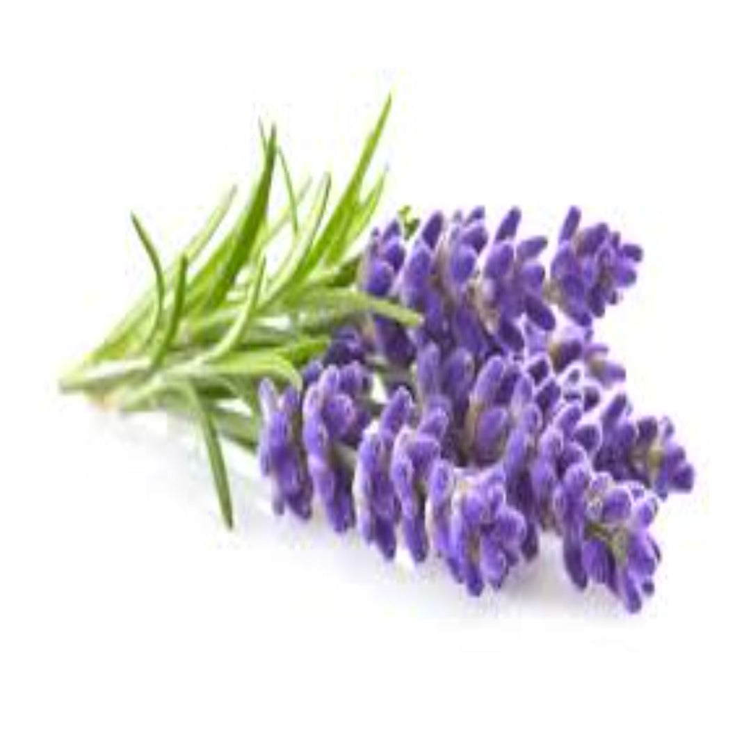 Buy Lavender Essential Oil Online in India - The Art Connect