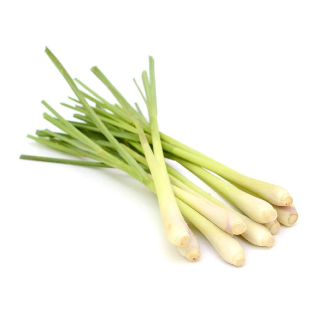 Buy Lemongrass Essential Oil Online in India - The Art Connect