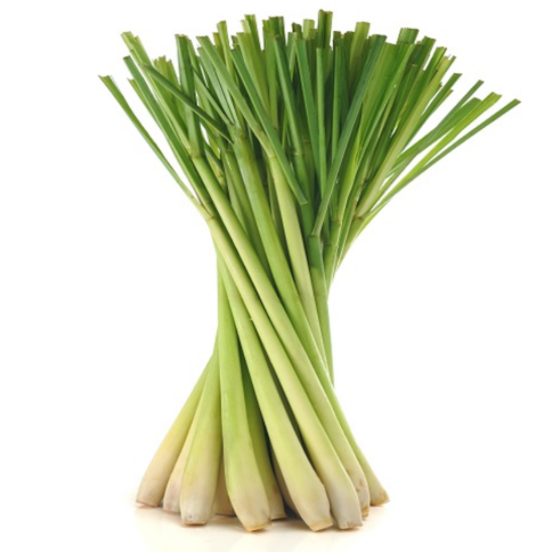 Buy Lemongrass Hydrosol Online in India - The Art Connect