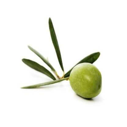 Buy Olive Squalane Online in India - The Art Connect
