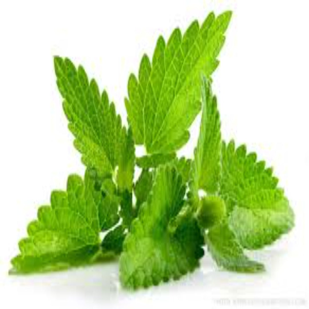 Buy Peppermint Essential Oil Online in India - The Art Connect