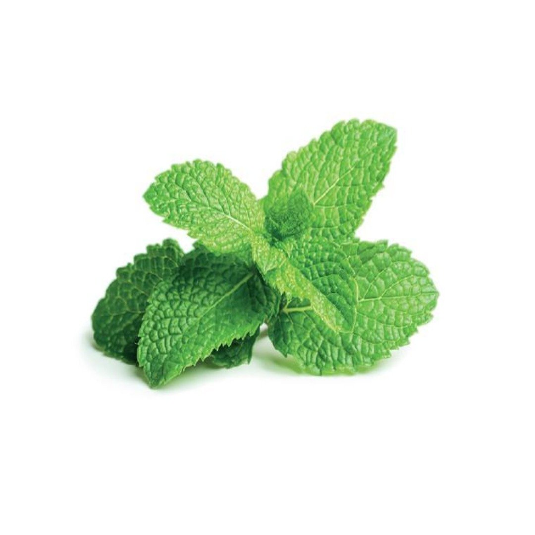 Buy Peppermint Flavour Oil Online in India - The Art Connect