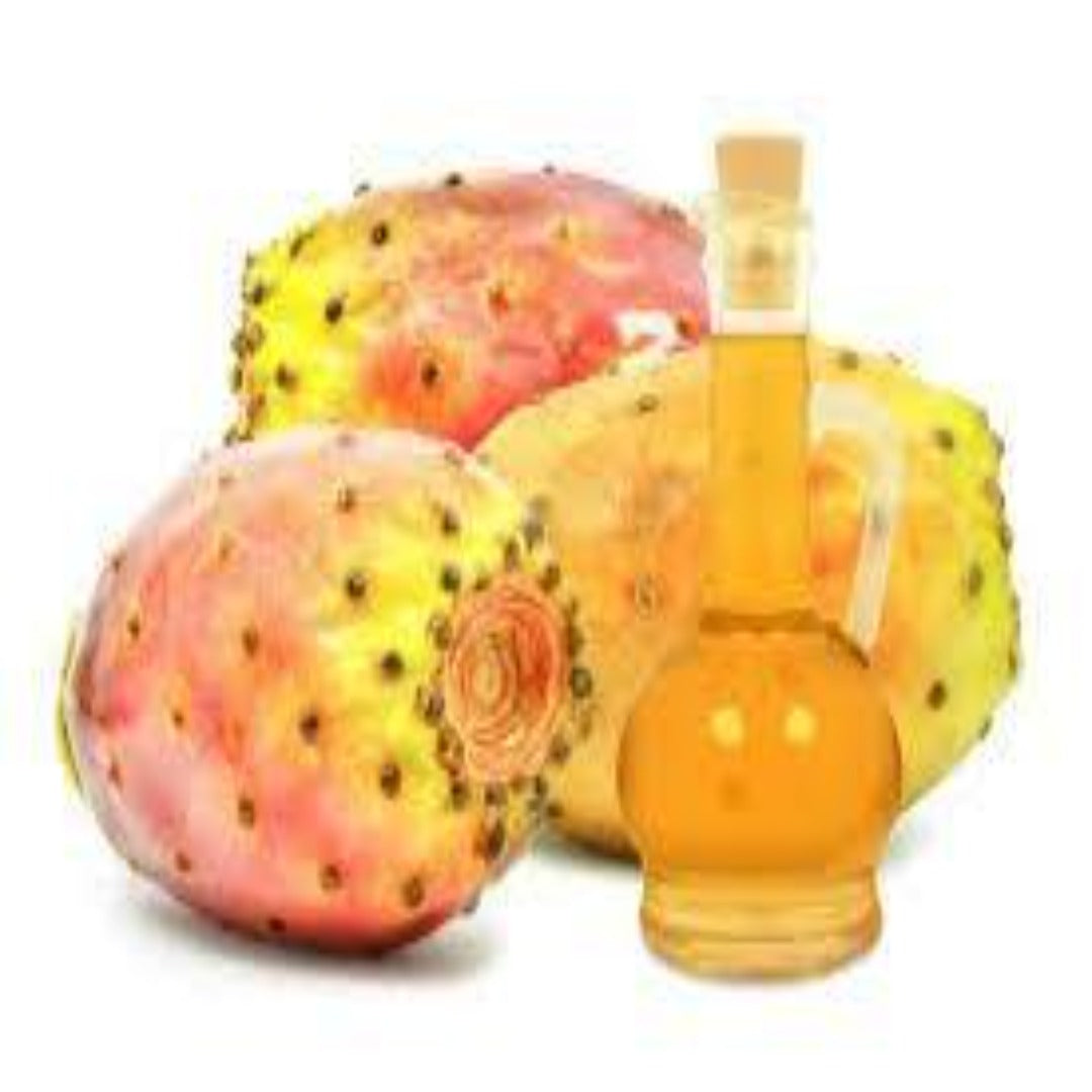 Buy Prickly Pear Carrier Oil Online in India - The Art Connect