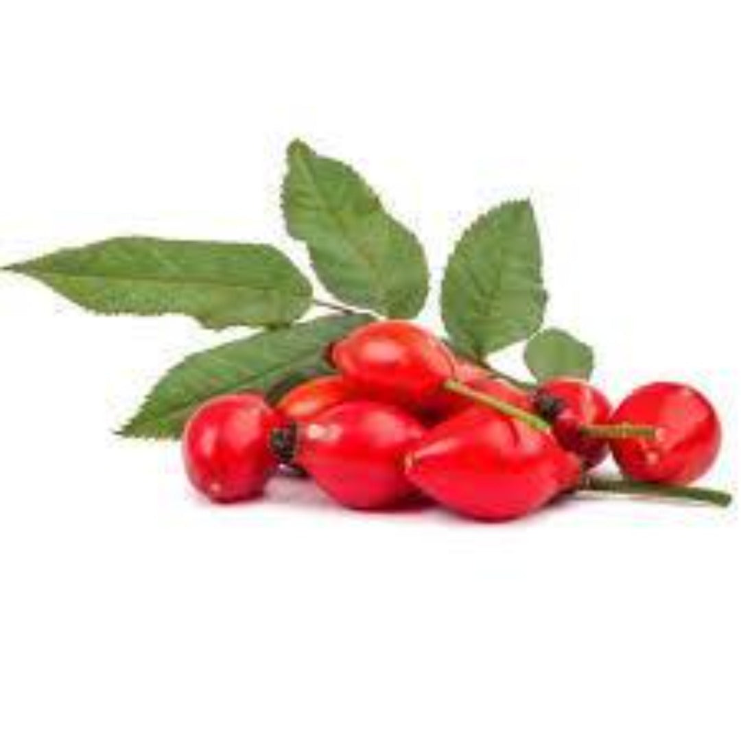 Buy Rosehip Extract Online in India - The Art Connect