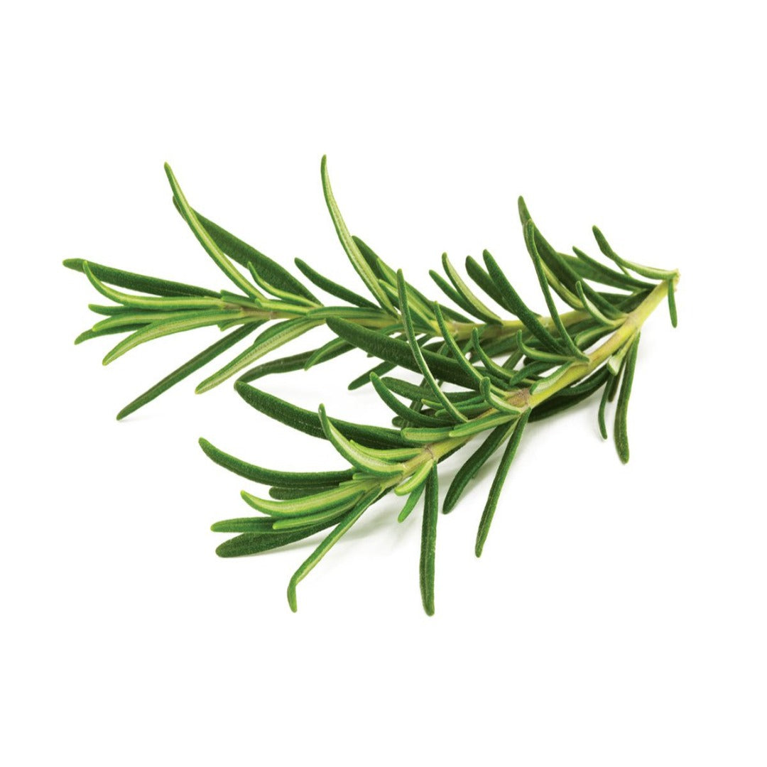 Buy Rosemary Essential Oil Online in India - The Art Connect