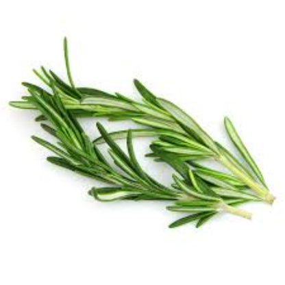 Buy Rosemary Extract Online in India - The Art Connect