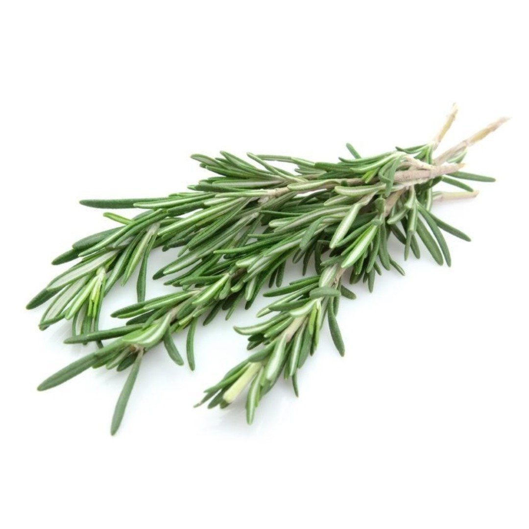 Buy Rosemary Hydrosol Online in India - The Art Connect