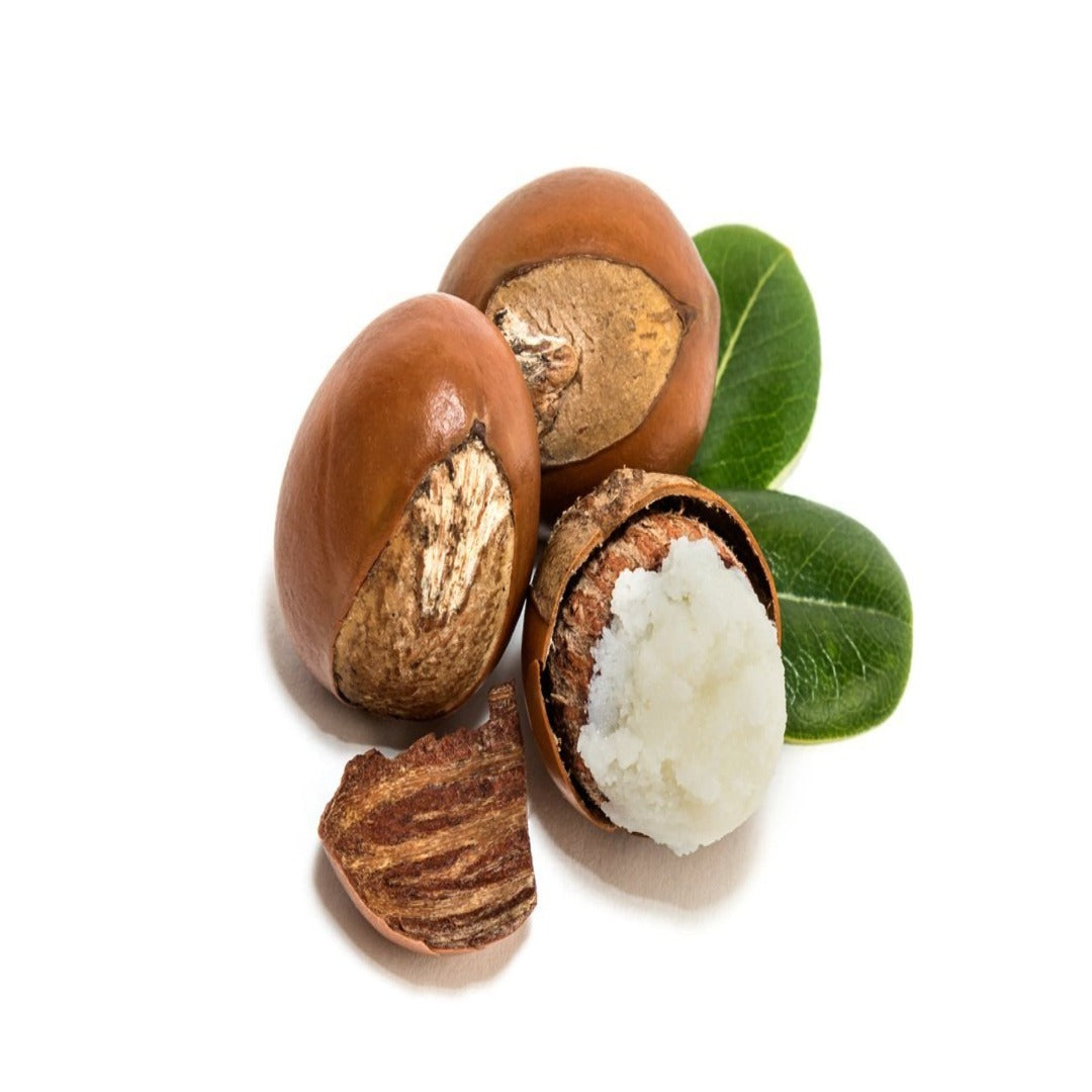 Buy Shea Nut Carrier Oil Online in India - The Art Connect