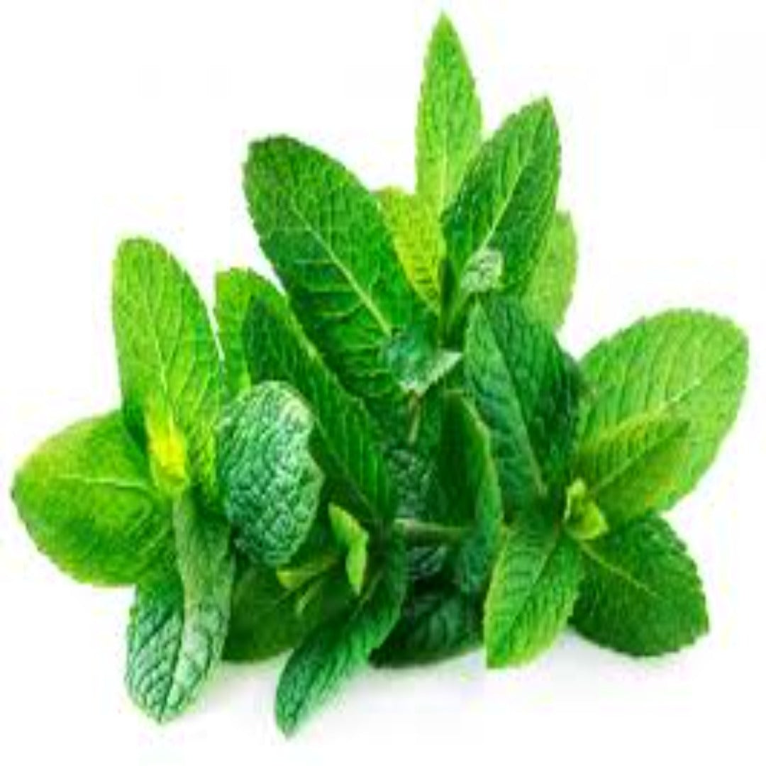 Buy Spearmint Essential Oil Online in India - The Art Connect