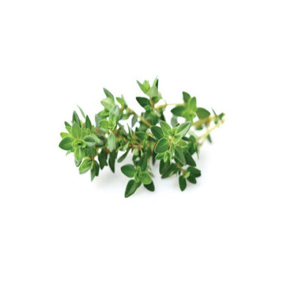 Buy Thyme Essential Oil Online in India - The Art Connect