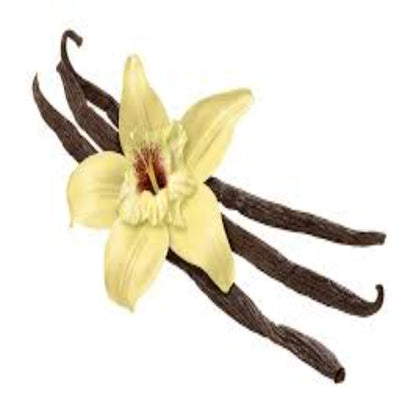 Buy Vanilla (Absolute) Essential Oil Online in India - The Art Connect