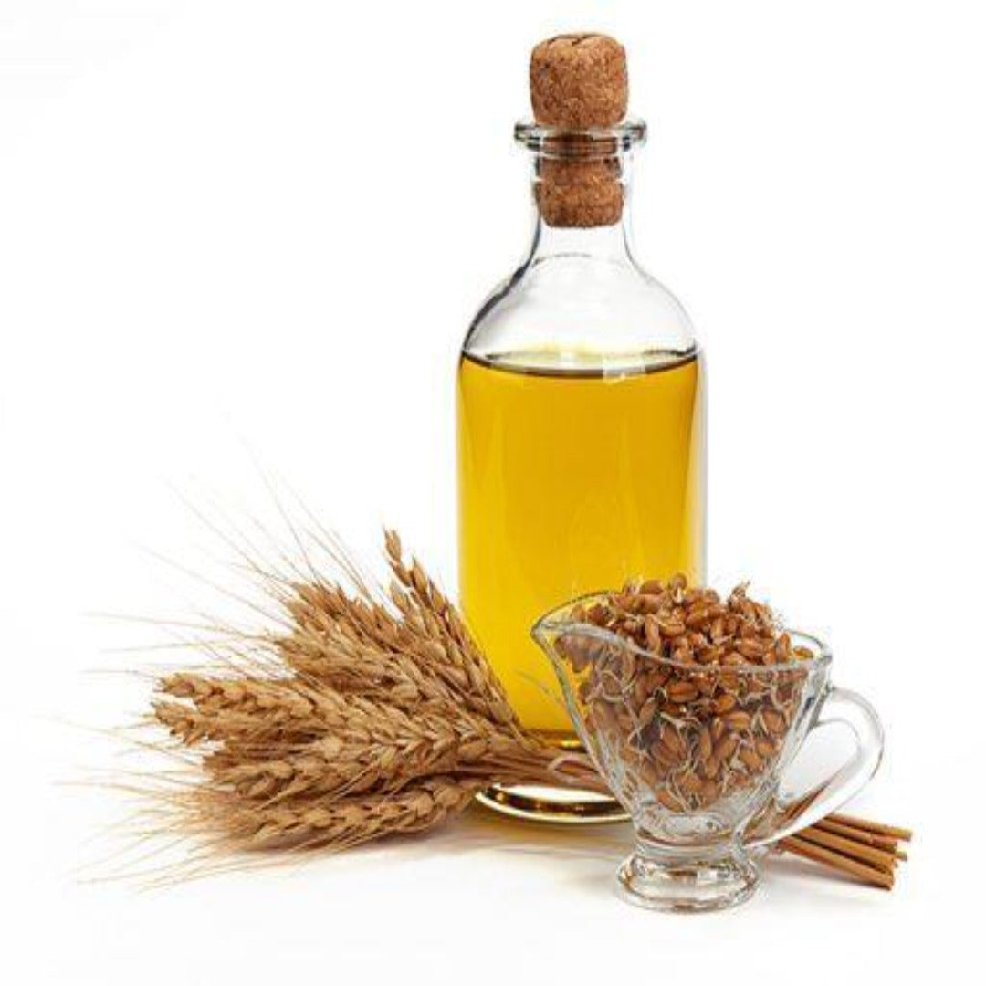 Buy Wheatgerm Carrier Oil Online in India - The Art Connect