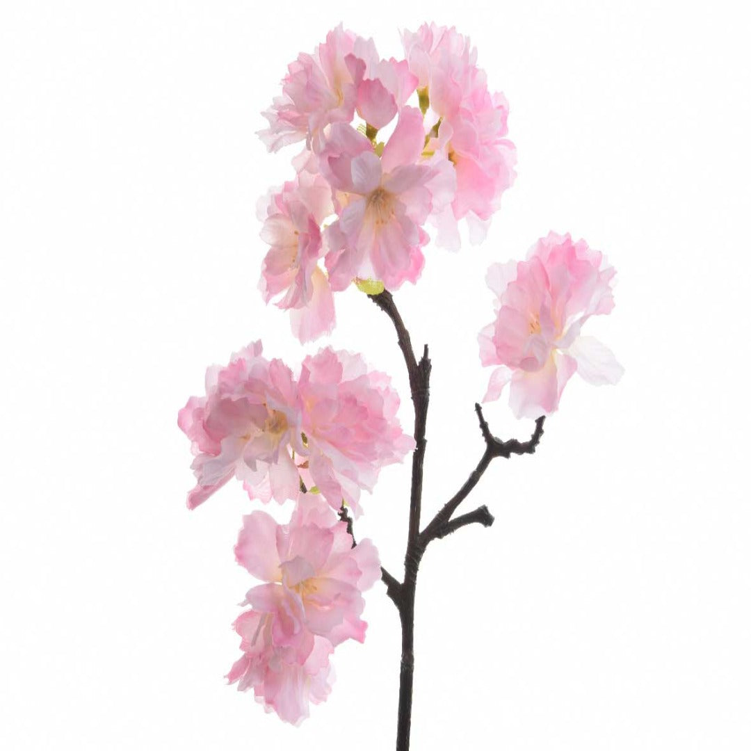 Cherry Blossom Fragrance Oil - Buy Cosmetic & Candle Fragrances / Scents / Perfumes Online in India - The Art Connect