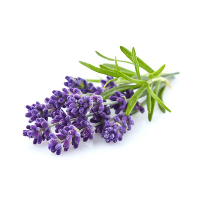 Lavender Fragrance Oil - Buy Cosmetic & Candle Fragrances / Scents / Perfumes