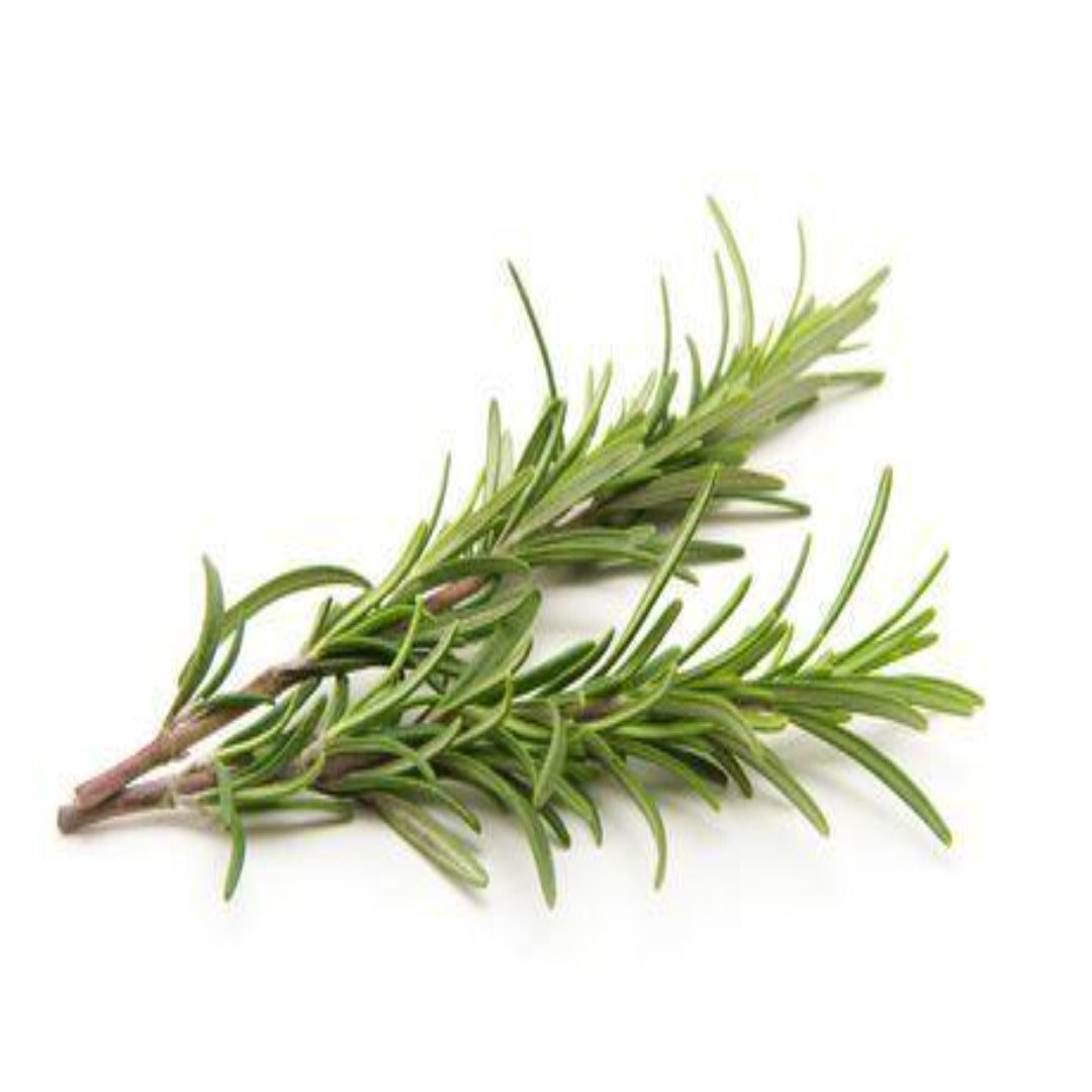 Rosemary Fragrance Oil - Buy Cosmetic & Candle Fragrances / Scents / Perfumes