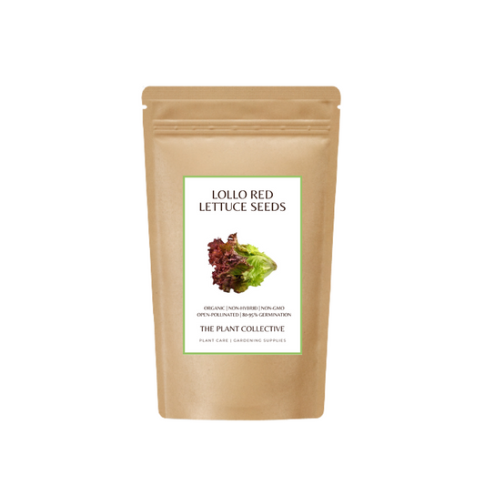 Brown colour stand up pouch packaging for Lollo Red Lettuce Seeds with label