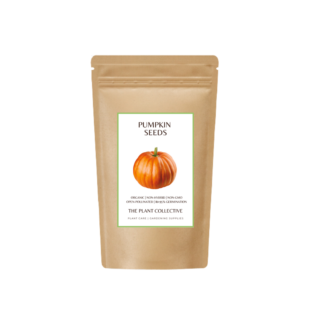 Brown colour stand up pouch packaging for Pumpkin Seeds with label