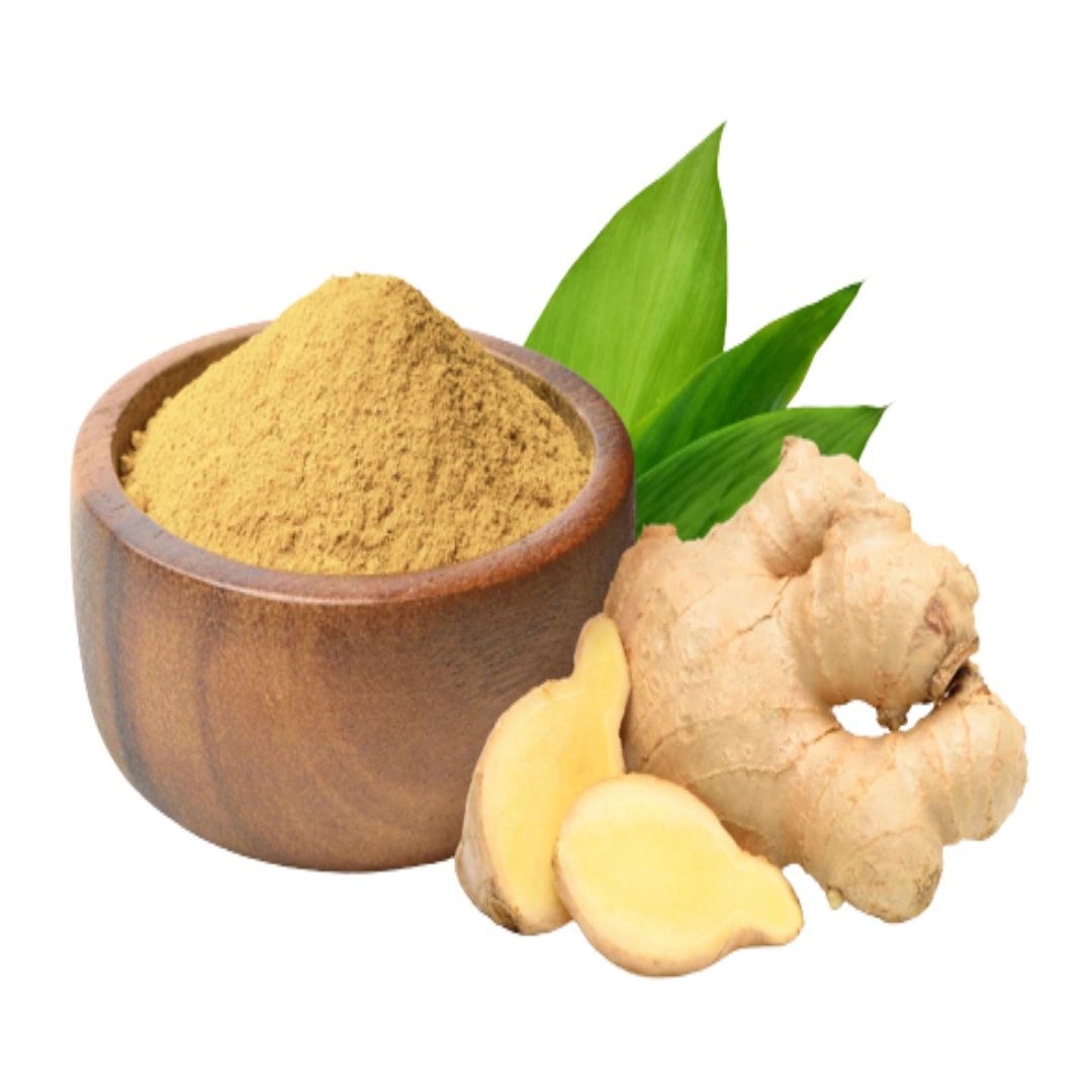 Yellow Zedoary / Mango Ginger Powder (Natural Plant-Based Extract DIY Watercolour Pigment Powder)