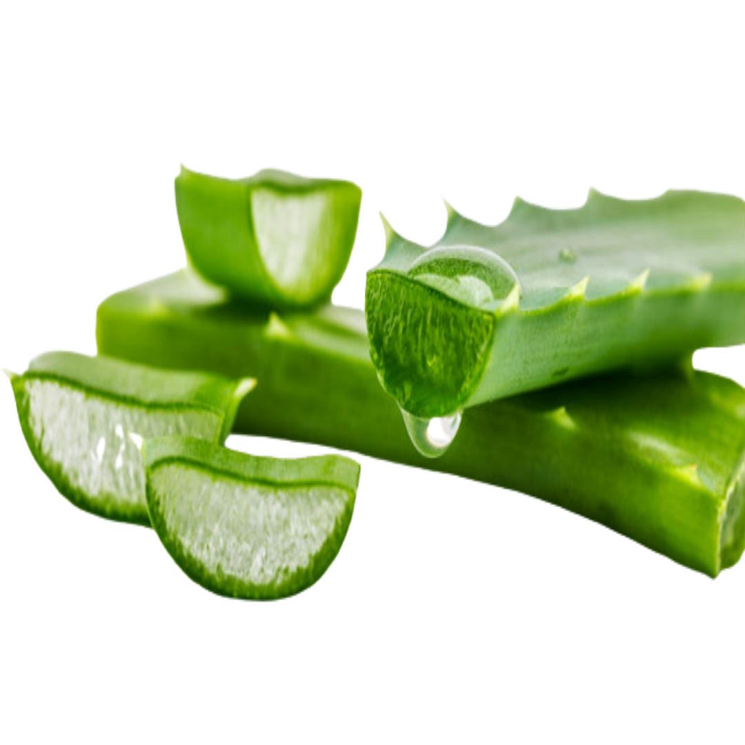 Buy Aloevera Leaf Extract Online in India - The Art Connect