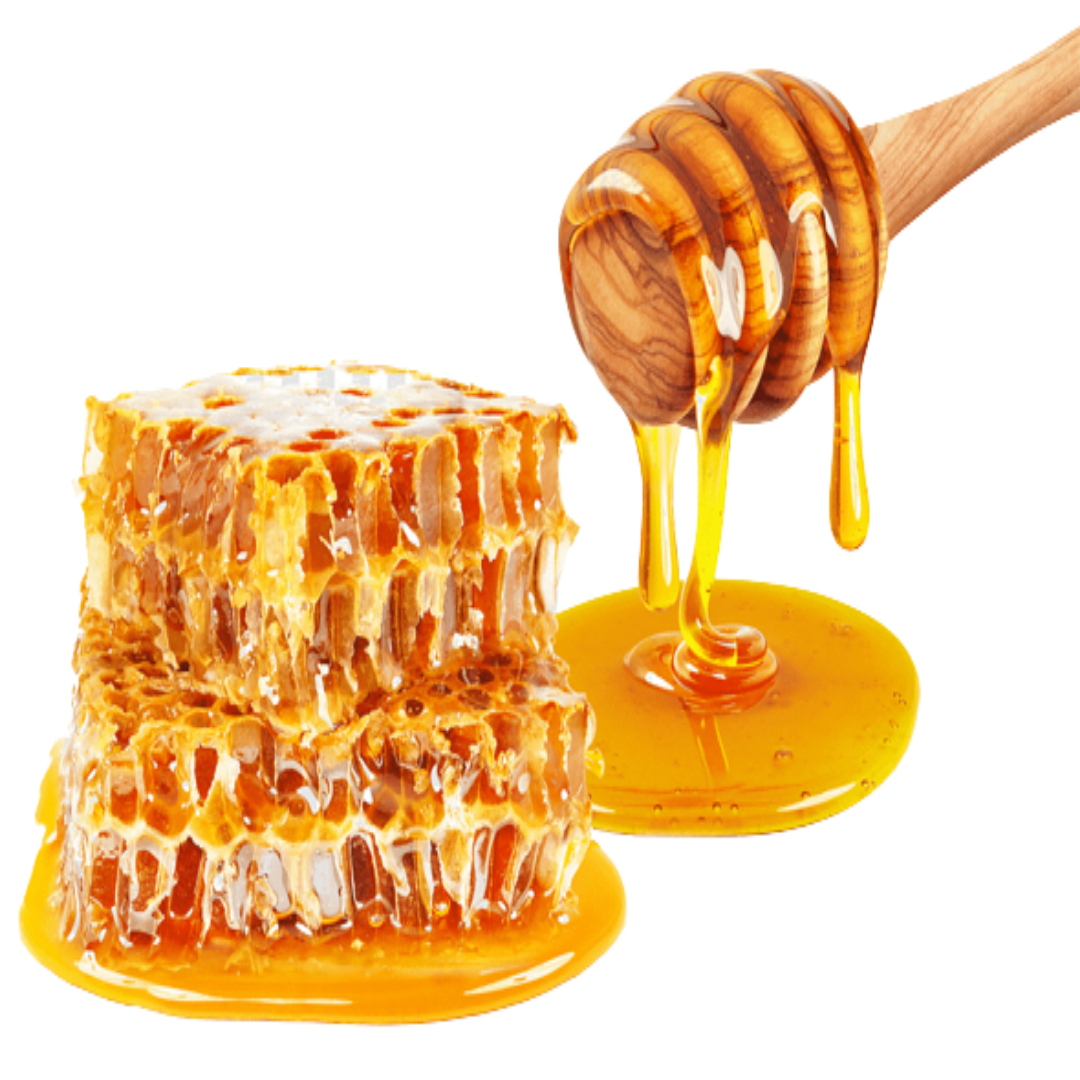 Buy Honey Extract Online in India - The Art Connect