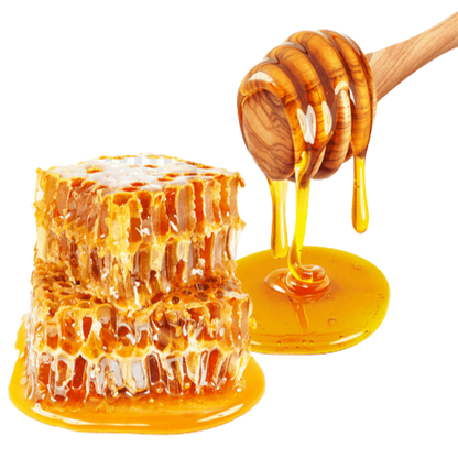 Buy Honey Extract Online in India - The Art Connect