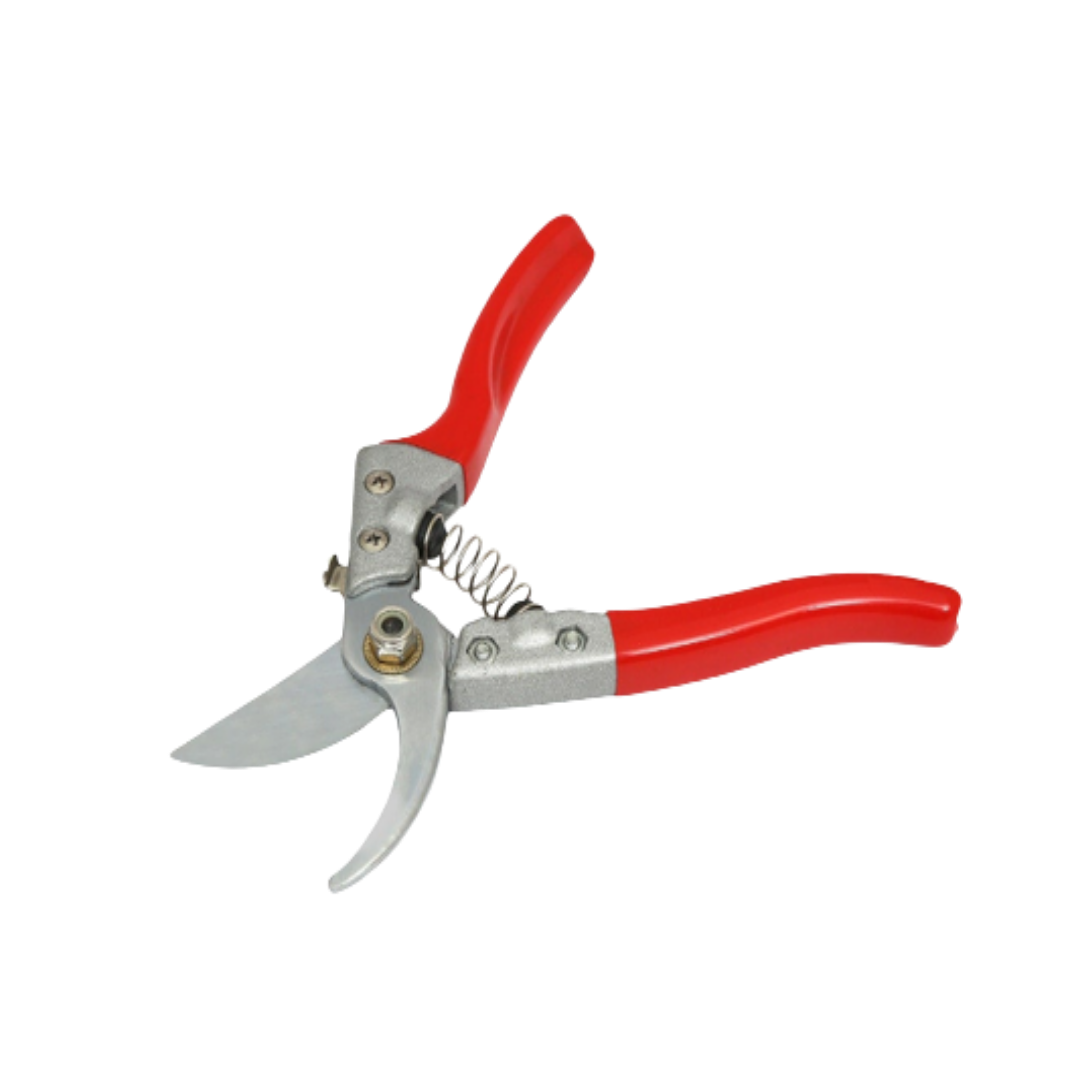 Buy Garden Pruning Shear (10 Inch) Online in India - The Art Connect