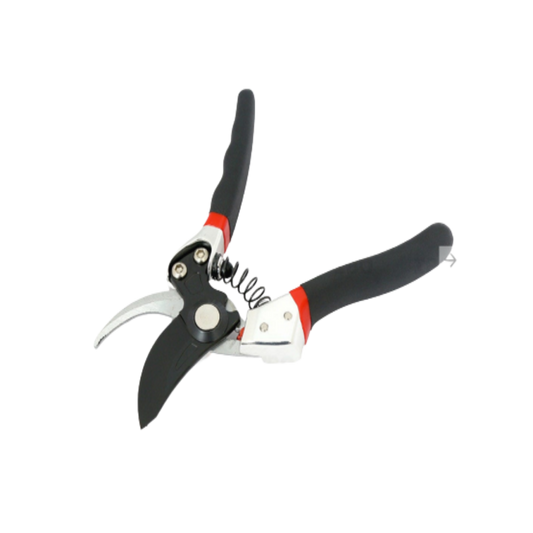 Buy Bypass Pruner (10 Inch) Online In India - The Art Connect