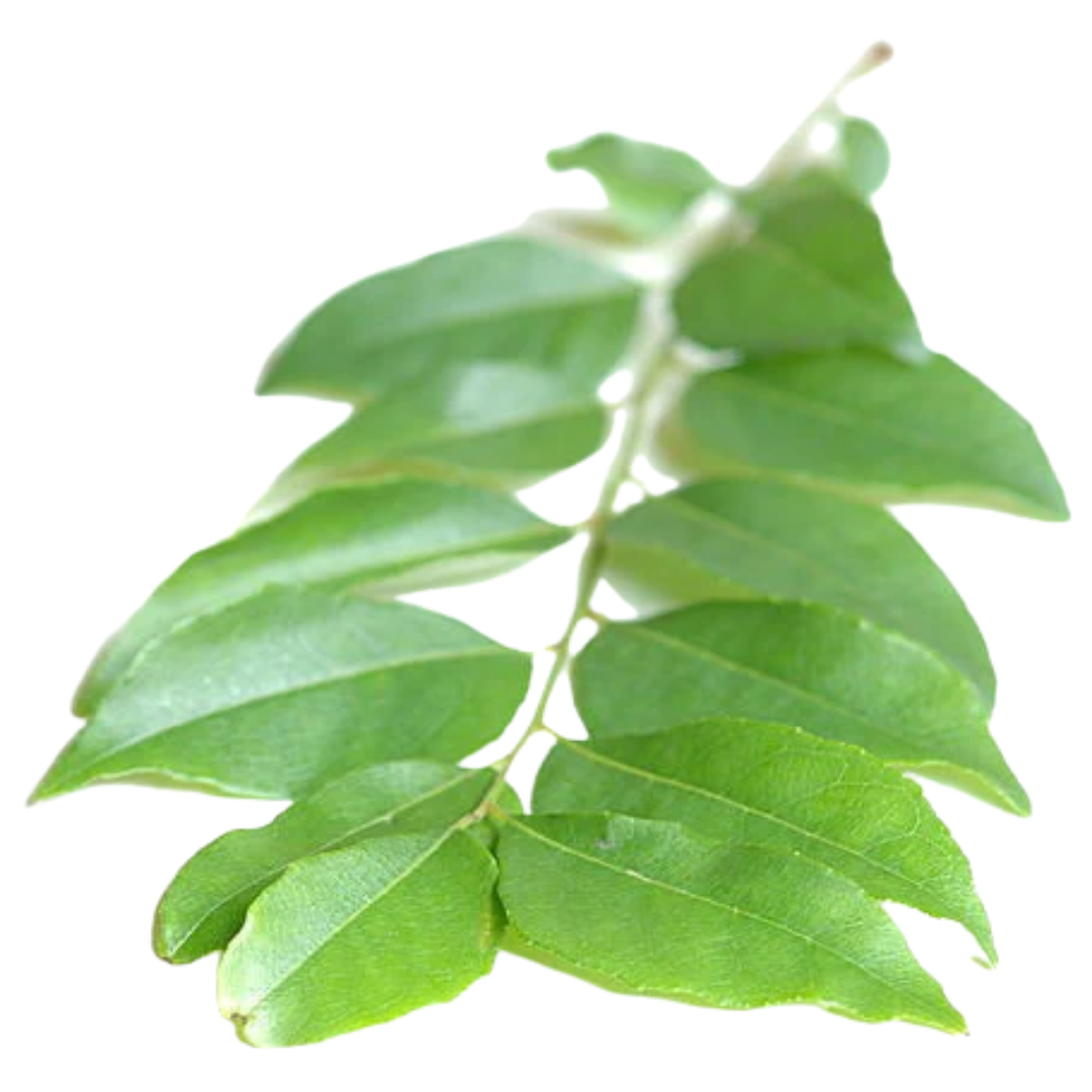 Curry Leaf Hydrosol