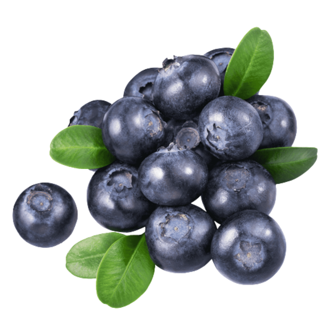 Blueberry Liquid Extract (Cosmetic Grade)