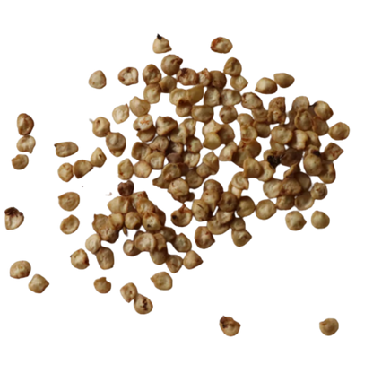 Organic, Non-Hybrid, Non-GMO, Open-Pollinated Big Chilli (Thondan Mulaku) Seeds