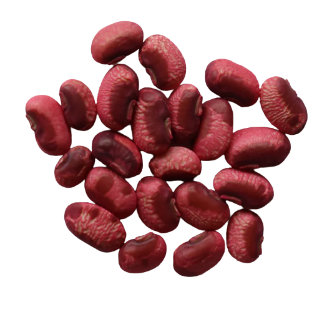 Organic, Non-Hybrid, Non-GMO, Open-Pollinated Red Long Beans Seeds