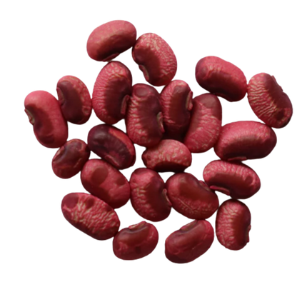 Organic, Non-Hybrid, Non-GMO, Open-Pollinated Red Long Beans Seeds