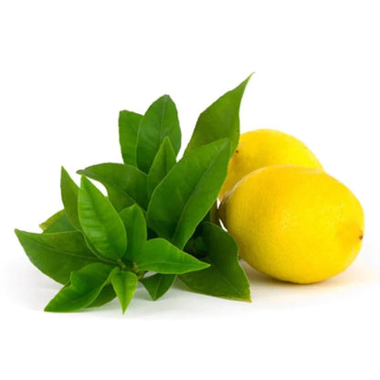 Lemon Verbena Yankee Fragrance Oil