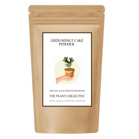 Groundnut Cake Powder (Organic Plant Growth Promoter)